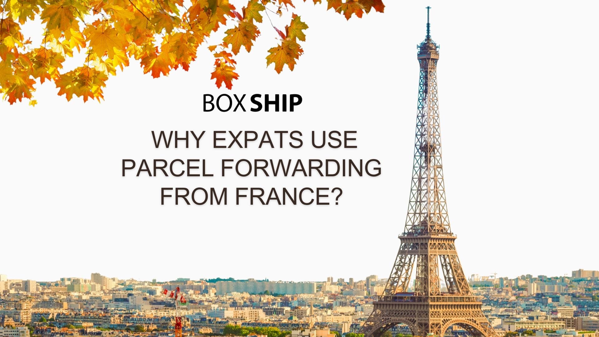 Why Expats & Digital Nomads Use Parcel Forwarding from France